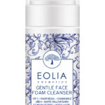 Gentle Foaming Cleanser