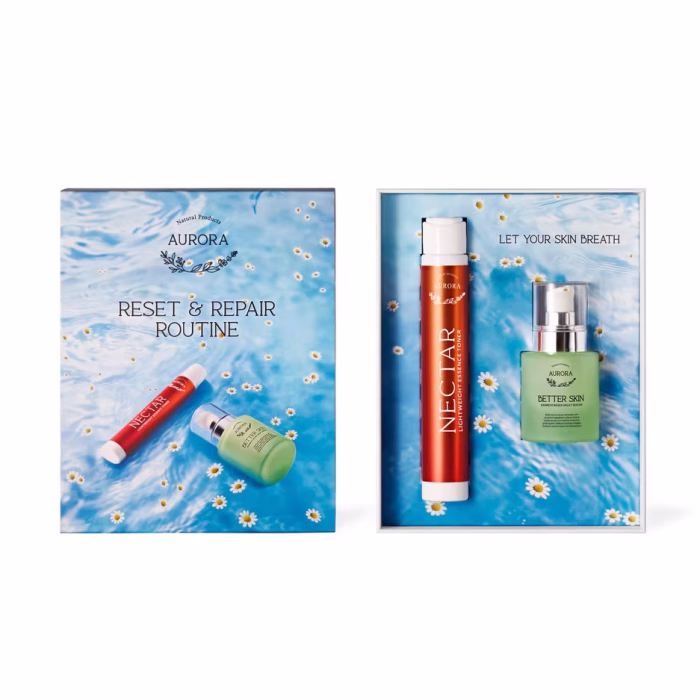 RESET AND REPAIR ROUTINE - Image 1